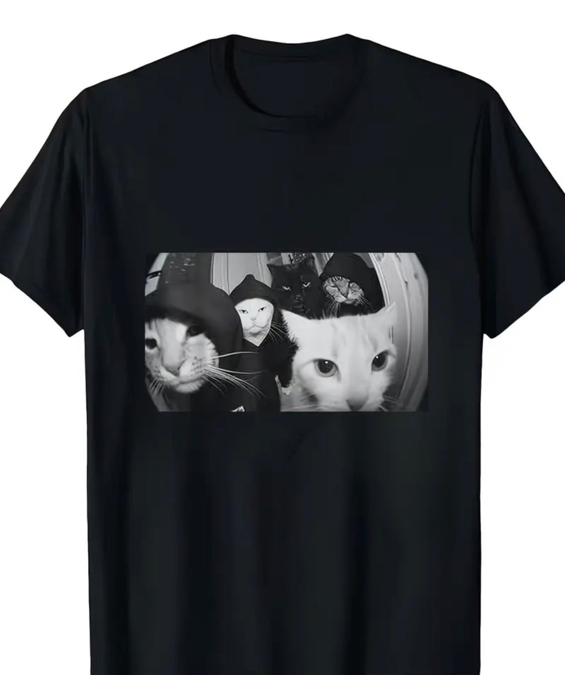 Gatos Gangster
